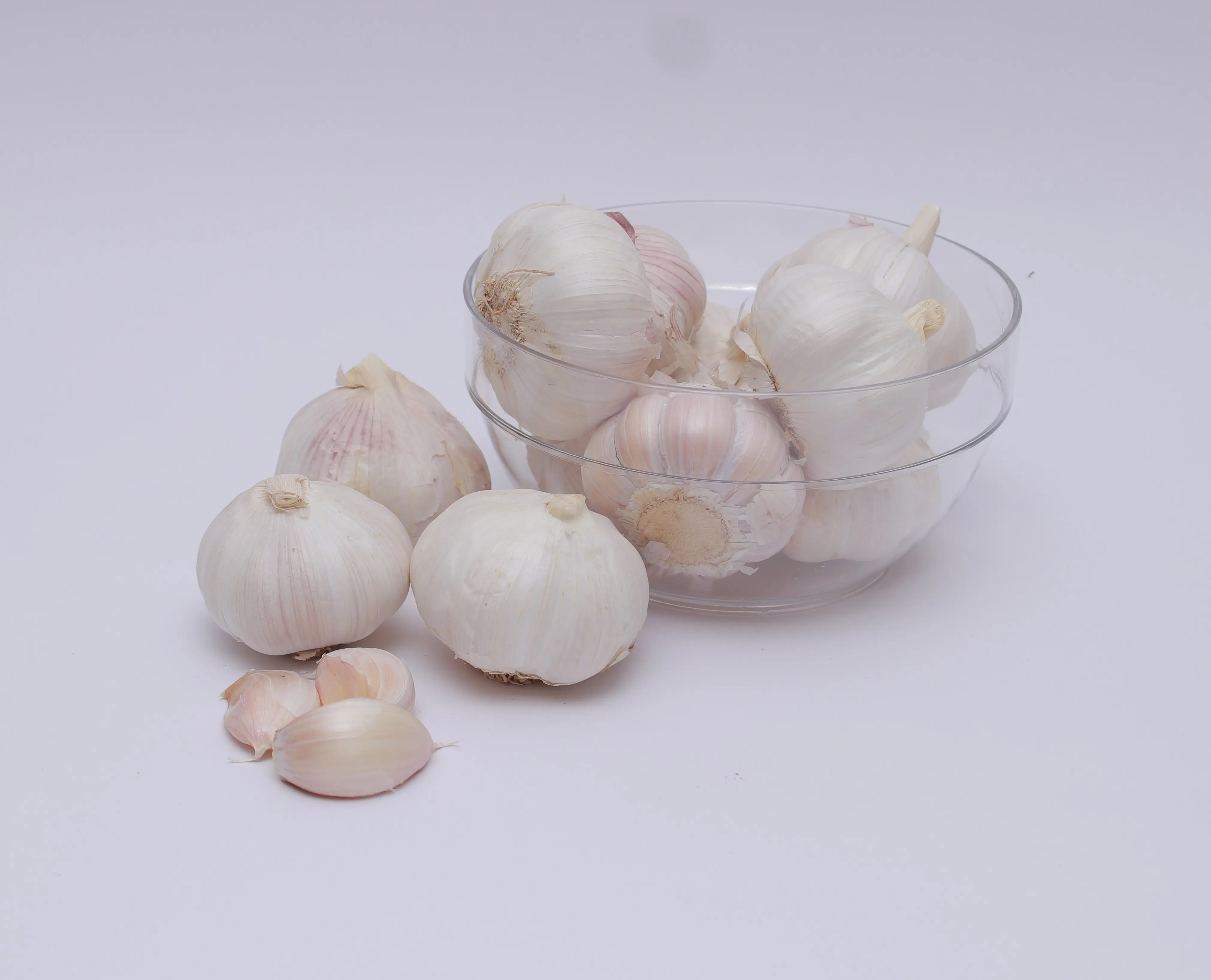 Ajo Macho